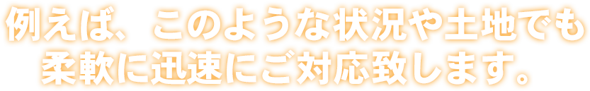 例えば、このような状況や土地でも柔軟に迅速にご対応致します。